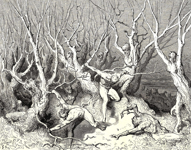Dore Inferno the wood of suicides