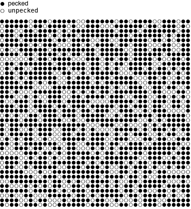 2d 40x40 lattice one round